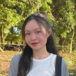 Đỗ Thị Quỳnh Chi