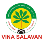 Cơ khí, cơ điện (Làm việc tại Lào)