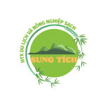 Giáo viên tiếng anh