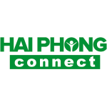 Các đại lý Ô tô của các hãng Mitsubishi, Toyota, Honda, Nissan.… Nhật Bản